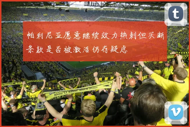 帕利尼亚愿意继续效力热刺但买断条款是否被激活仍存疑虑