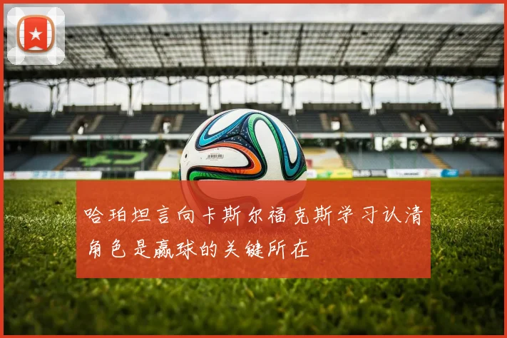 哈珀坦言向卡斯尔福克斯学习认清角色是赢球的关键所在