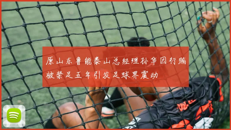 原山东鲁能泰山总经理孙华因行贿被禁足五年引发足球界震动